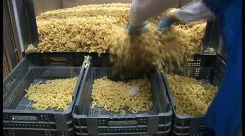 Pasta in factory Stock Footage 18551600