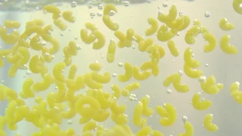 Pasta falling into water in slow motion Stock Footage 76040844