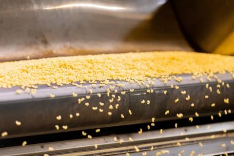 Pasta manufacturing automatic conveyor, drying and bagging for sale Stock Photos