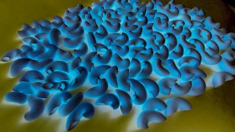 Pasta in a negative colour Stock Photos