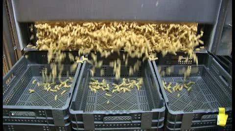 Pasta production in factory Stock Footage