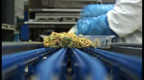 Pasta salad on assembly line Stock Footage 18548482