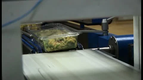 Pasta salad on assembly line Stock Footage 18552529