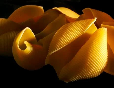 Pasta shells are photographed in a dramatic light. Stock Photos