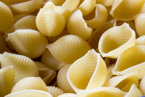 Pasta Shells 스톡 사진