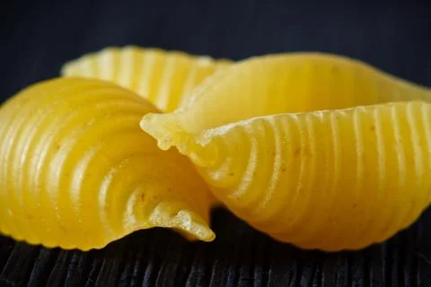 Pasta Shells Stock Photos