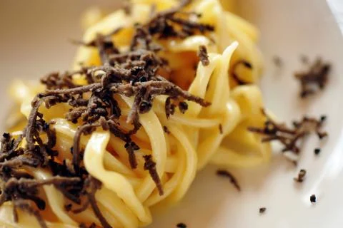 Pasta with truffles/ tagliatelle with black truffles Stock Photos