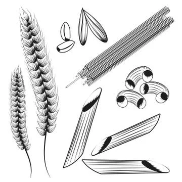 Pasta vector 스톡 일러스트