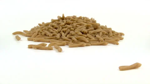 Pasta whole grain fall Stock Footage 34391354