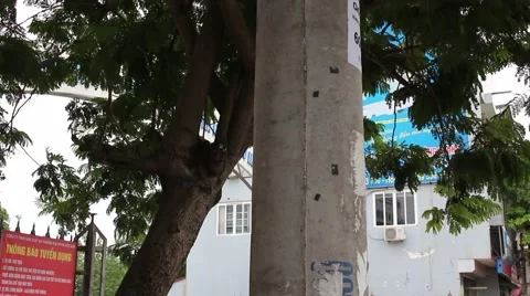 Paste billboard in electric pole Stock Footage 56081570