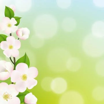 Pastel apple tree flowers frame Stock Illustration