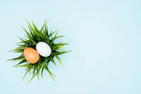 Pastel background with easter eggs on green grass Photos