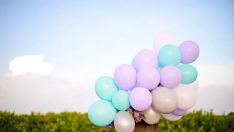Pastel Balloons Floating Over Vineyard, Celebration, Joyful, Happy, Party Stock Footage 333409913