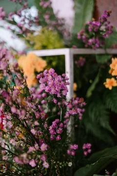 Pastel Blossom Array, A Symphony of Soft Hues and Delicate Floral Texture Foto stock