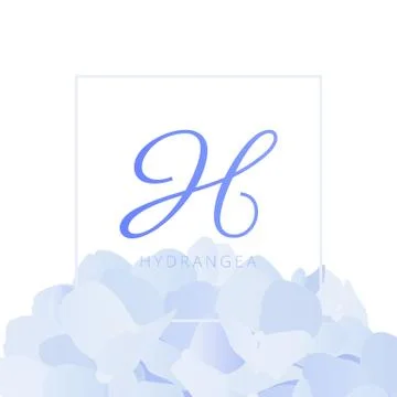 Pastel blue hydrangea flower with square frame Stock Illustration