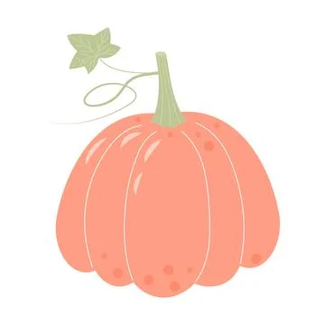 Pastel boho pumpkin isolated on white background. Stock Illustration