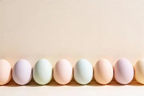 Pastel colored Easter eggs arranged in a row with soft shadows on a neutral.. Stock Photos
