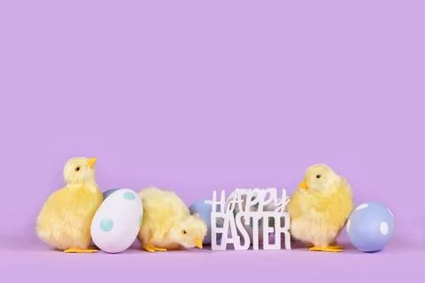 Pastel colored easter eggs chicken and text Happy Easter on violet background Stock Photos