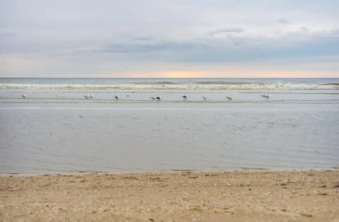 Pastel colored sunset at a beach 写真素材