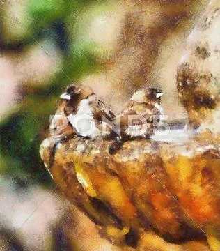 Pastel drawing of mossies taking bath Stock Illustration