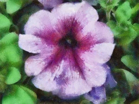 Pastel drawn petunia Stock Illustration