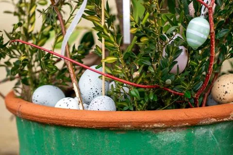 Pastel Easter Eggs in Flower Pot with Spring Greenery Stock Photos