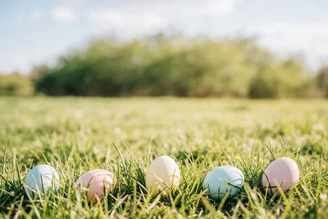 Pastel Easter eggs hidden in lush green grass on a sunny spring day Stock Photos