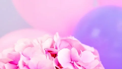 Pastel Hydrangea Blooms with Balloons: Soft, Dreamy, and Elegant Stock Footage 333409985
