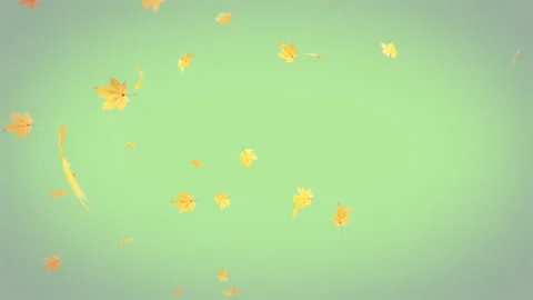 Pastel Maple Leaf Explosion Video Background Stock Footage 317803776