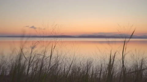 Pastel paint Stock Footage 153098599