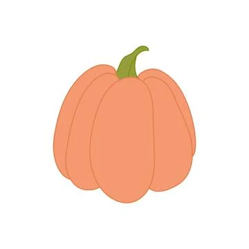 Pastel Pink Pumpkin Vector Illustration: Soft Orange Fall Squash Stock Illustration