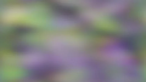 A pastel rainbow gradient with soft blurred stripes and pink, green 库存影片 338986588