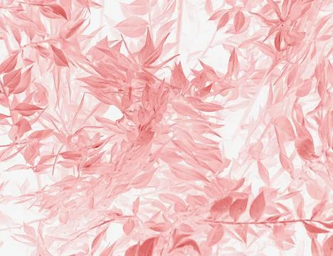 Pastel Red Tree Leaf Flora Background Stock Photos