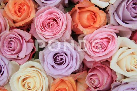 Pastel Rose Wedding Flowers