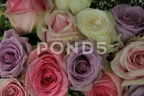 Pastel Roses In Bridal Arrangement