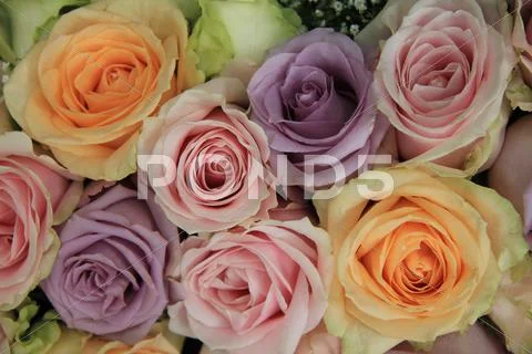 Pastel Roses In Bridal Arrangement