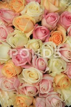 Pastel Roses In A Wedding Arrangement
