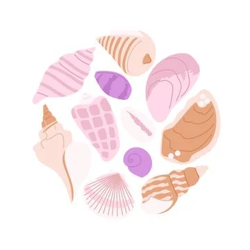 Pastel Sea Shells Circle Composition Ilustração Stock