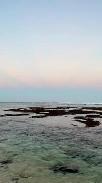 Pastel Sky Over Calm Ocean and Exposed Coral Reef at Low Tide in Bali Stock Photos