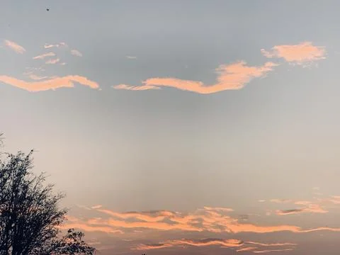 Pastel Sunset Cloudscape Above Tree Silhouettes in Jakarta Indonesia Stock Photos