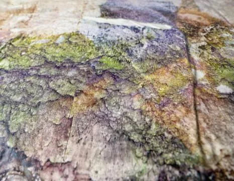 Pastel texture.. Stock Photos