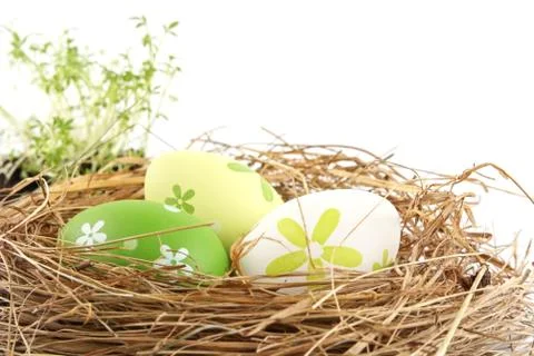 Pastel three colored easter eggs in the nest with cuckooflower in the backgro Stock Photos