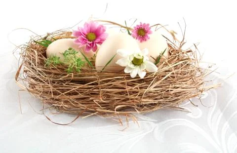 Pastel three white easter eggs in the nest with cuckooflower, white and pink Stock Photos