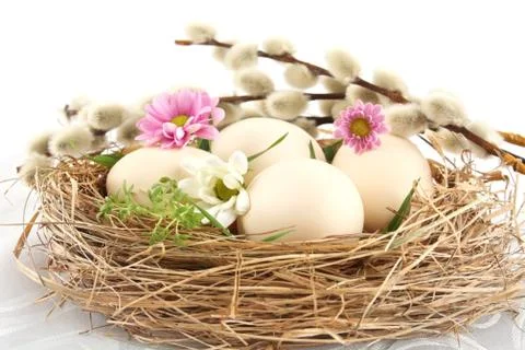 Pastel three white easter eggs in the nest with cuckooflower, white and pink Stock Photos