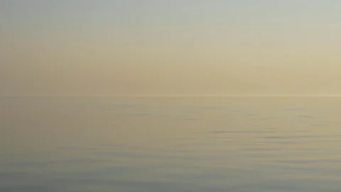 Pasteur water background Stock Footage 83709894