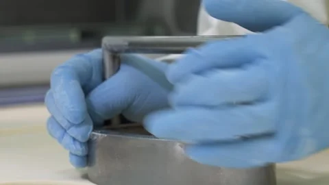 Pastry Chef Pressing Dough in Professional Bakery Kitchen Stock Footage 337751355
