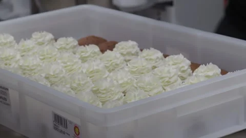 Pastry chef using piping bag, decorating chocolate cupcakes with white cream Stock Footage 312866377