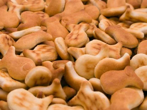 Pastry cookie Stock Photos