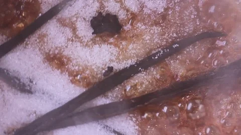 Pastry Handmade caramel sugar bubbles Chocolate vanilla Chocolatier Stock Footage 78726239