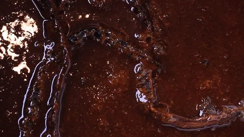Pastry Handmade caramel sugar bubbles Chocolate Pralines Chocolatier Stock Footage 78726270